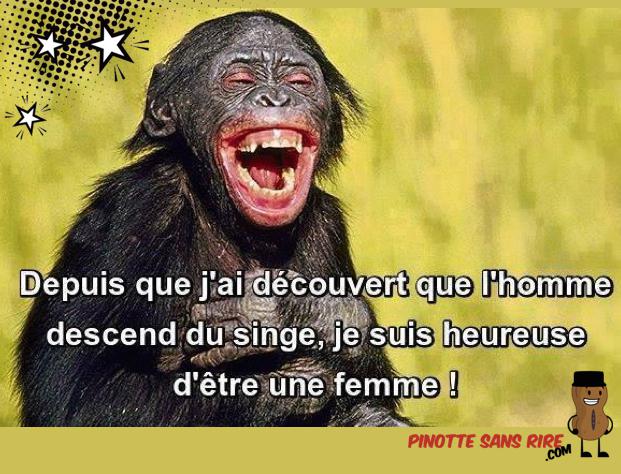 128 retraite humour