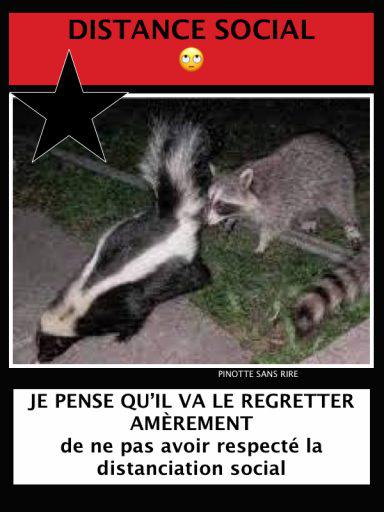 56 humour facebook